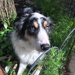 Meet your Posher, Kkari